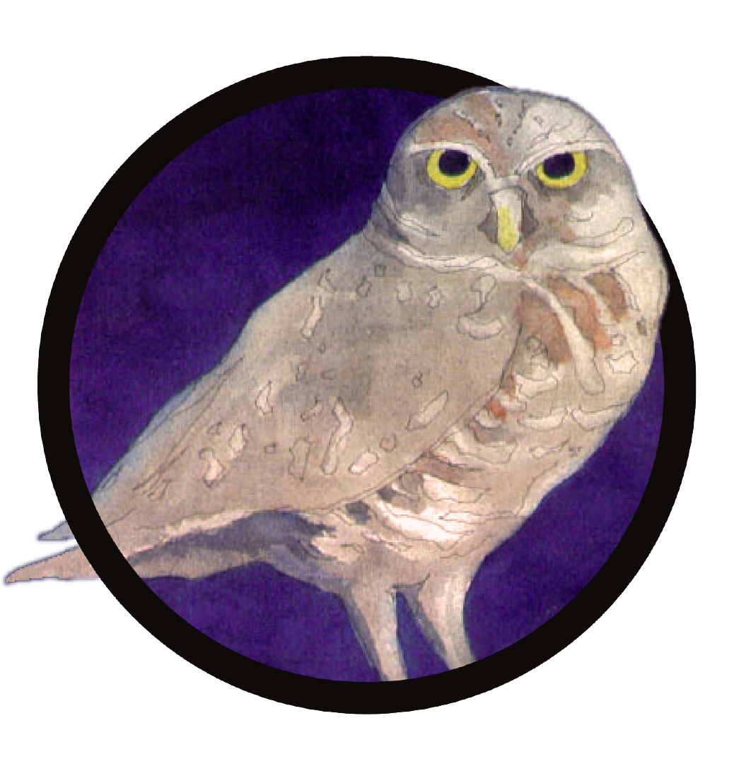 Burrowing Owl Preservation Society